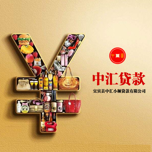 宜賓縣中匯小額貸款有限責任公司
